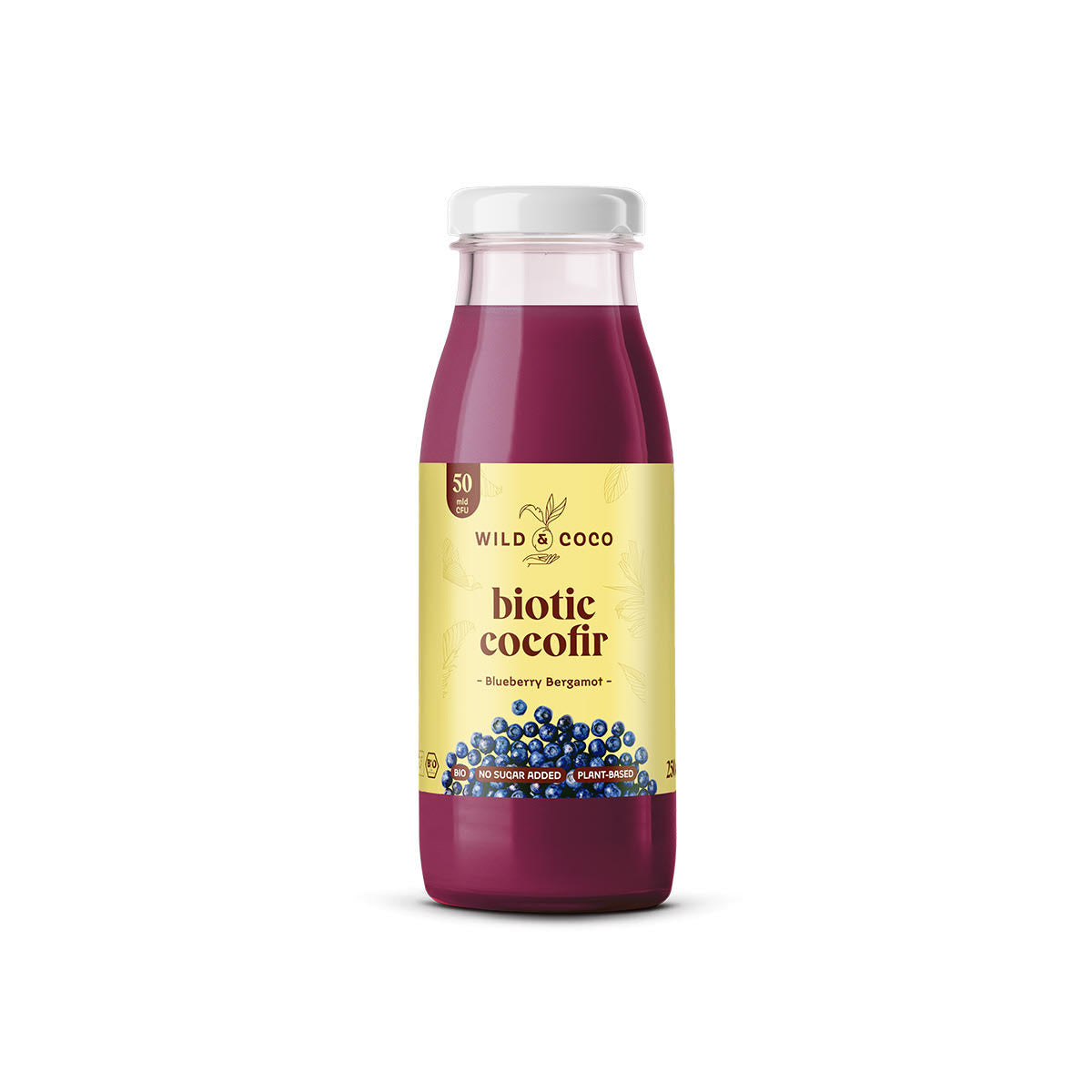 Biotic Cocofir Blaubeere & Bergamotte 250ml
