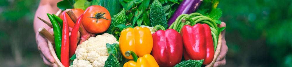 Ernährungsberatung Holistische Gesundheit