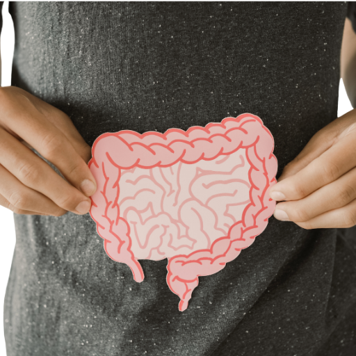 Ganzheitliche Ernährungsberatung (Darmgesundheit)